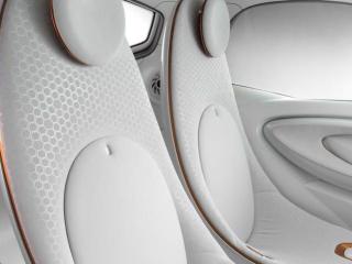 Smart Forvision ülései